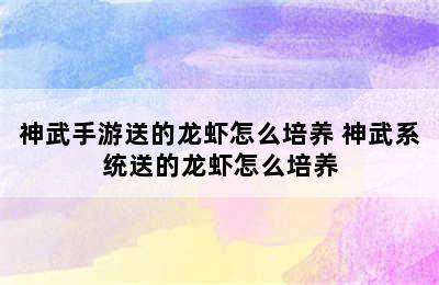 神武手游送的龙虾怎么培养 神武系统送的龙虾怎么培养